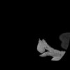 SPORK, NICO - 22.03.1976 - 02.08.2022 - CT obere Extremität - 17:51:17